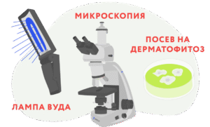 Дезинфекция